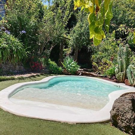 Los Matos, Canarian House In Valleseco エクステリア 写真