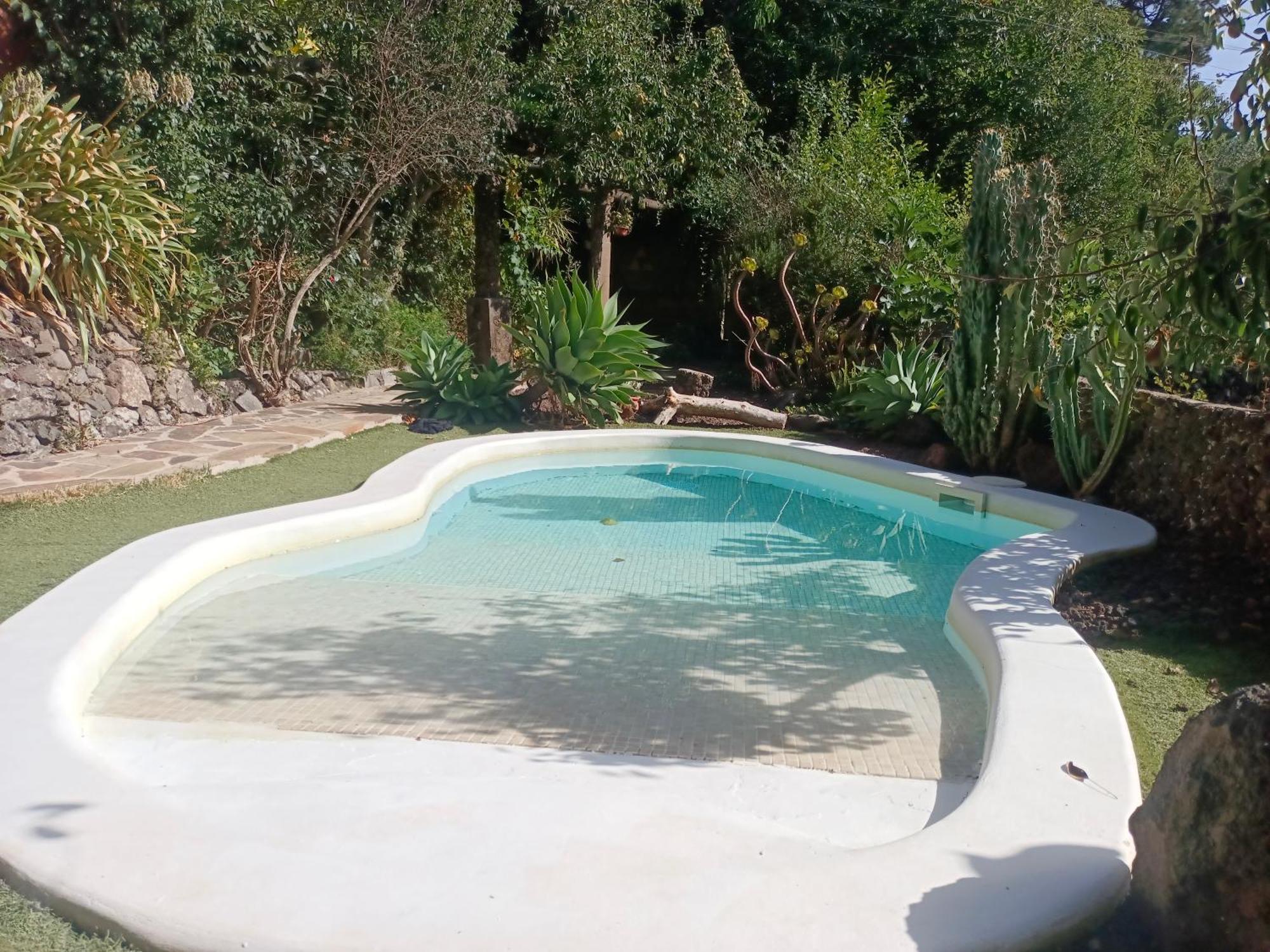 Los Matos, Canarian House In Valleseco エクステリア 写真