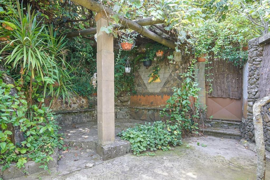 Los Matos, Canarian House In Valleseco エクステリア 写真