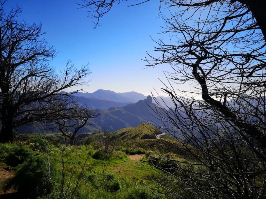Los Matos, Canarian House In Valleseco エクステリア 写真