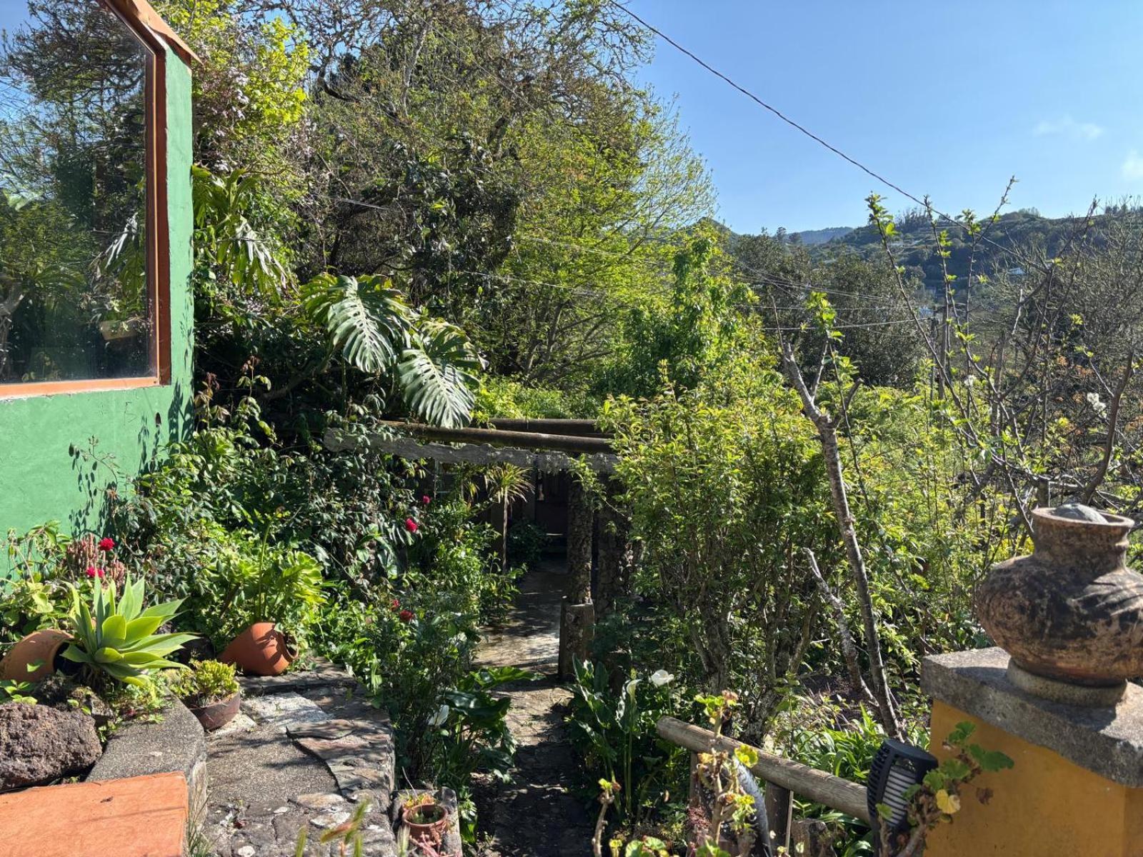 Los Matos, Canarian House In Valleseco エクステリア 写真